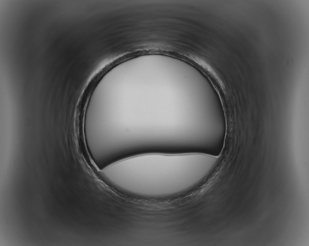 X0000084520983200703021352