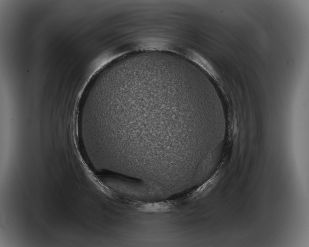 X0000084520984200703021352