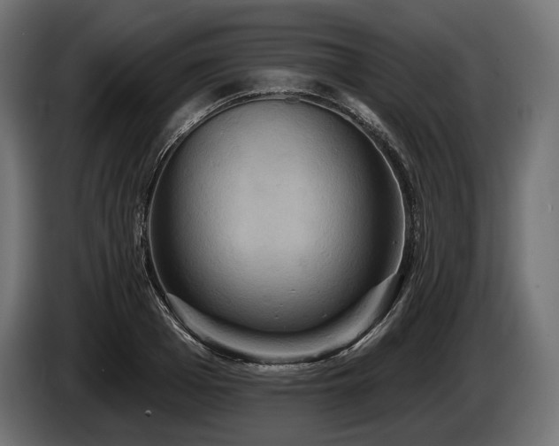 X0000084520985200703021352