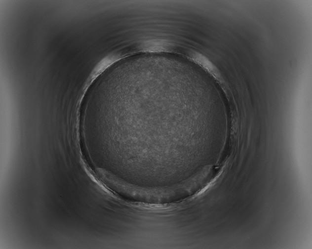 X0000084520986200703021352