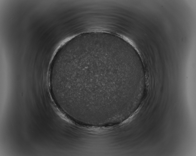 X0000084520987200703021352