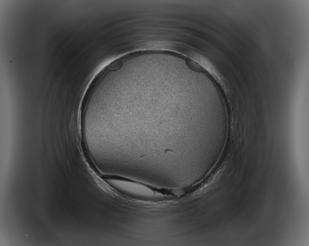 X0000084520988200703021352