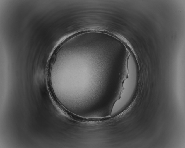 X0000084520989200703021352