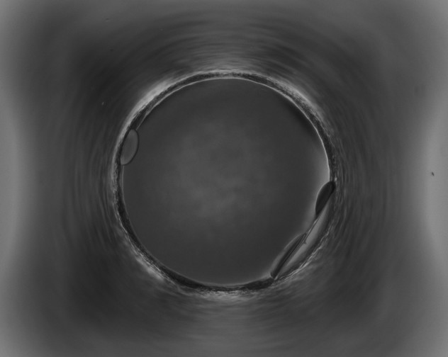 X0000084520990200703021351