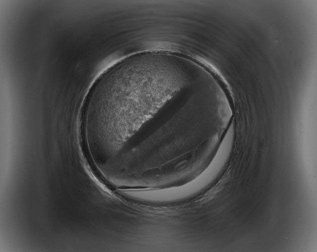 X0000084520991200703021351