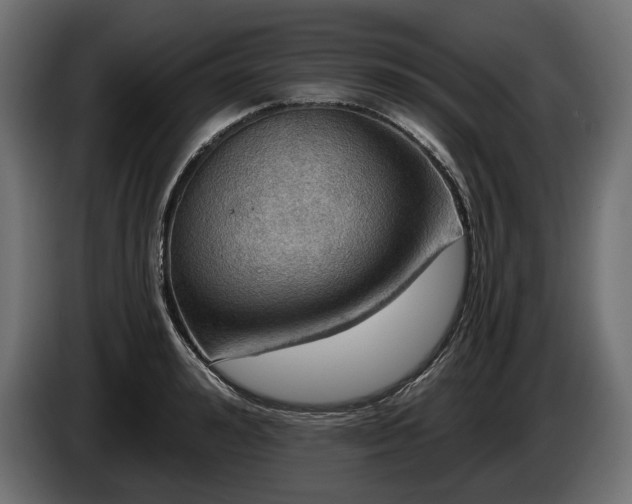 X0000084520992200703021351