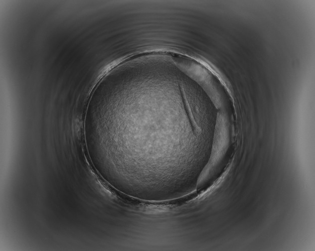 X0000084520993200703021351