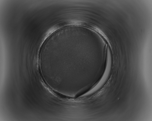 X0000084520994200703021351