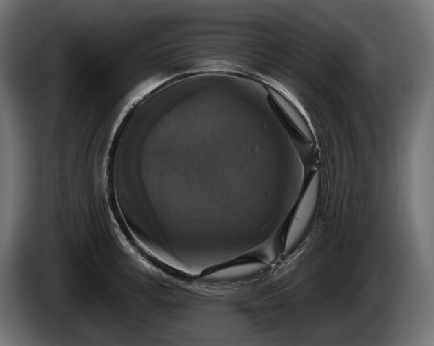 X0000084520995200703021351