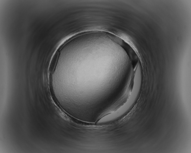 X0000084520996200703021351