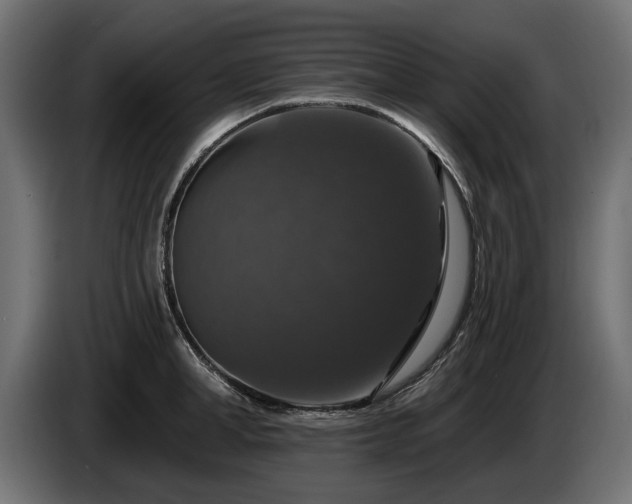 X0000084520998200703021351