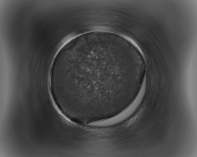 X0000084520999200703021351