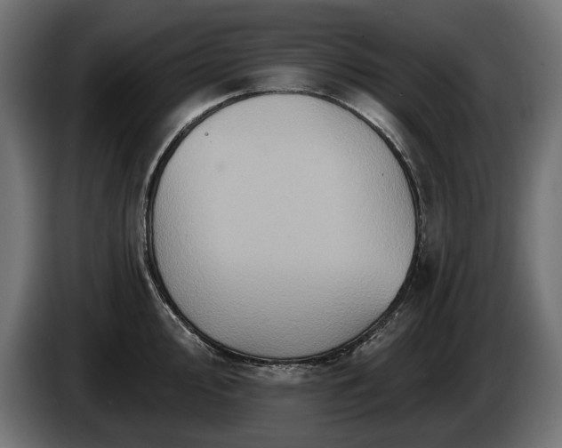 X0000084521000200703021351