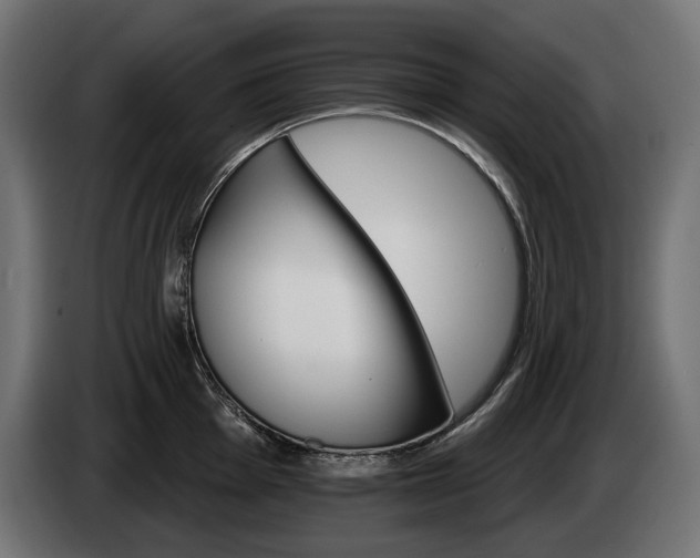 X0000084521001200703021351