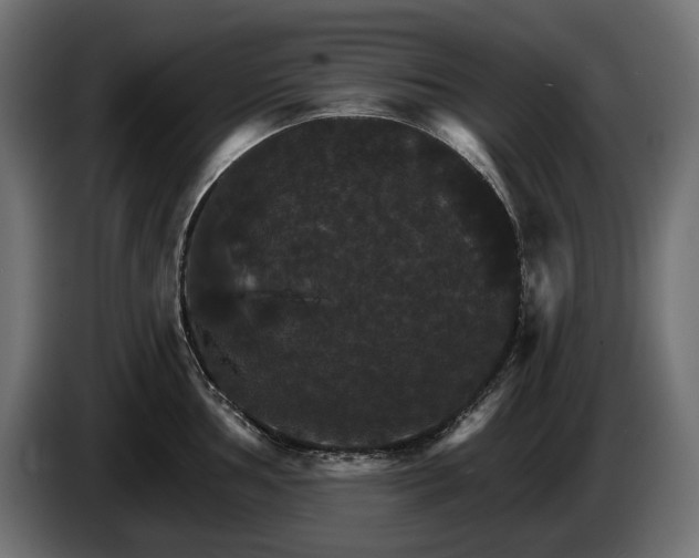 X0000084521002200703021351