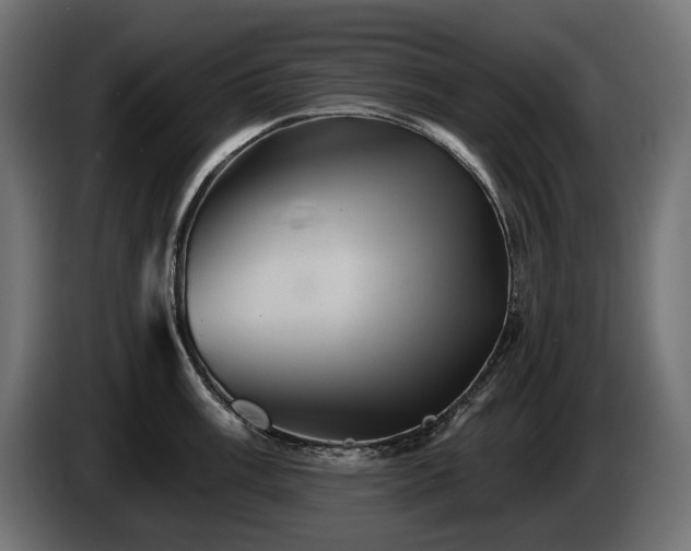 X0000084521003200703021351