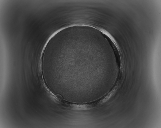 X0000084521004200703021351