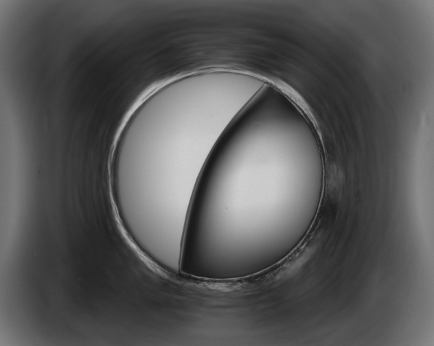 X0000084521005200703021351