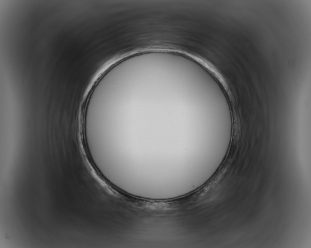 X0000084521006200703021351