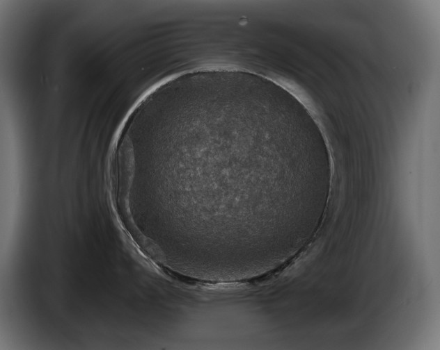 X0000084521008200703021351