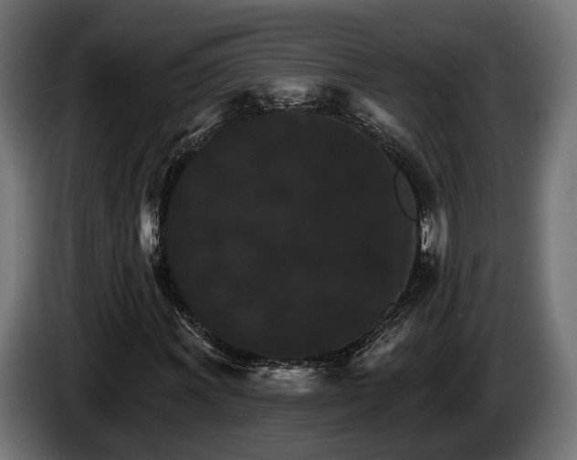 X0000084521011200703021351