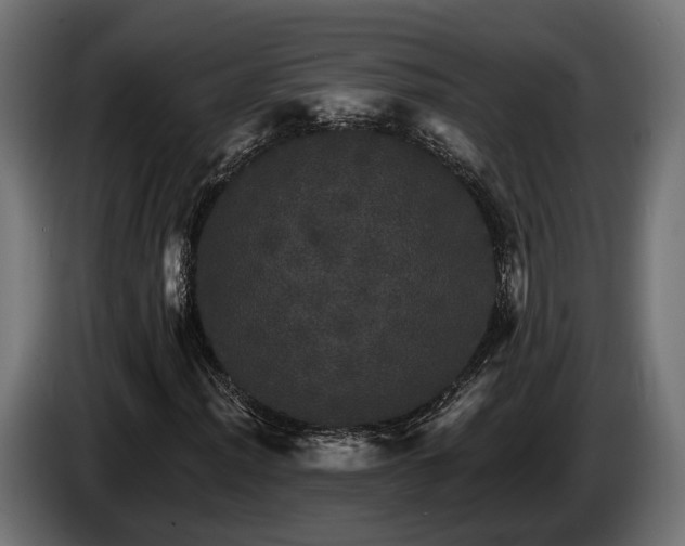 X0000084521012200703021351