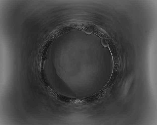 X0000084521013200703021351