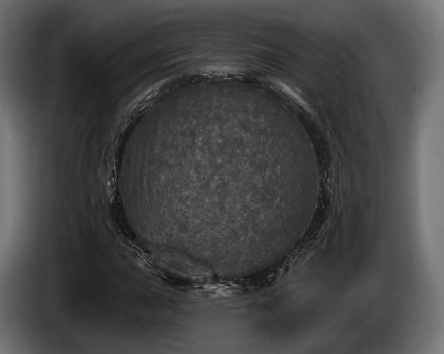 X0000084521015200703021351