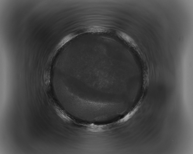 X0000084521017200703021351