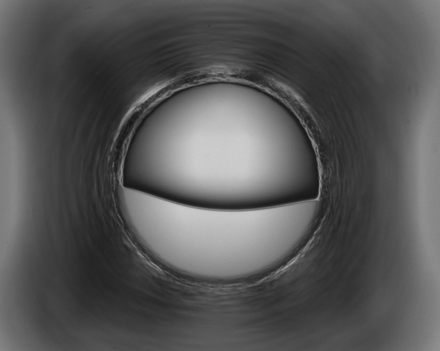 X0000084521018200703021351