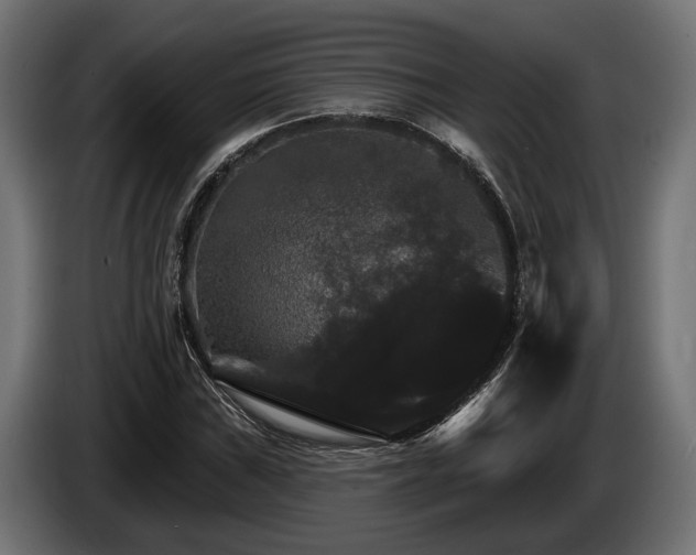 X0000084521019200703021351