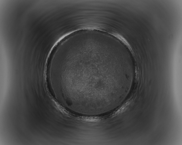 X0000084521020200703021351