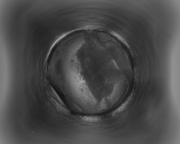 X0000084521021200703021351