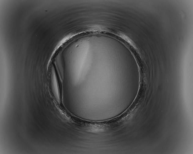 X0000084521022200703021351