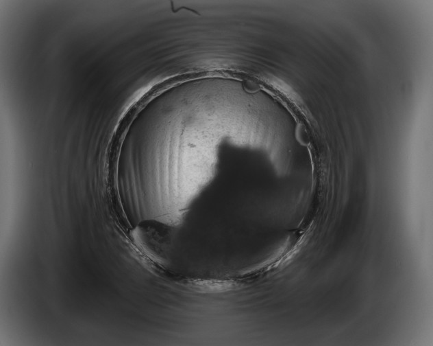 X0000084521023200703021351