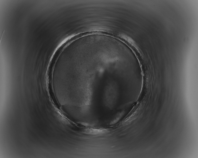 X0000084521024200703021351