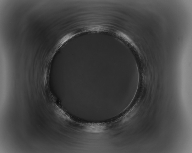 X0000084521025200703021351