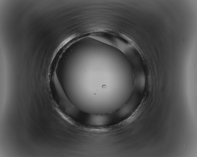 X0000084521026200703021351