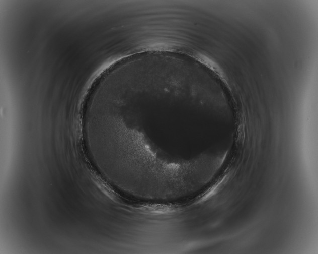 X0000084521027200703021351