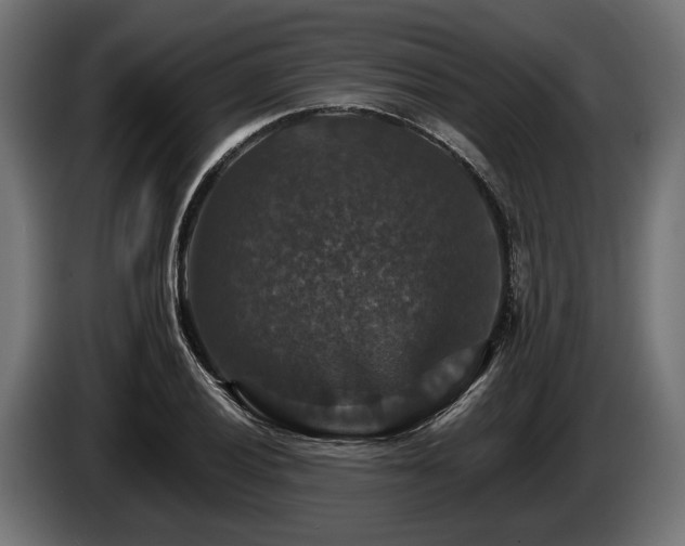 X0000084521028200703021351