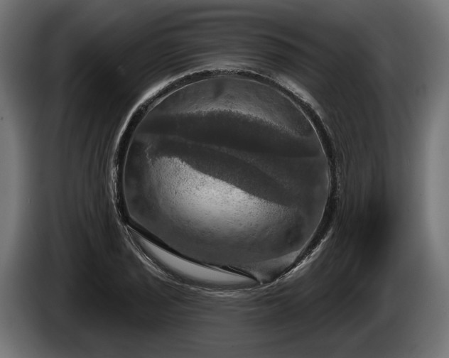 X0000084521029200703021351