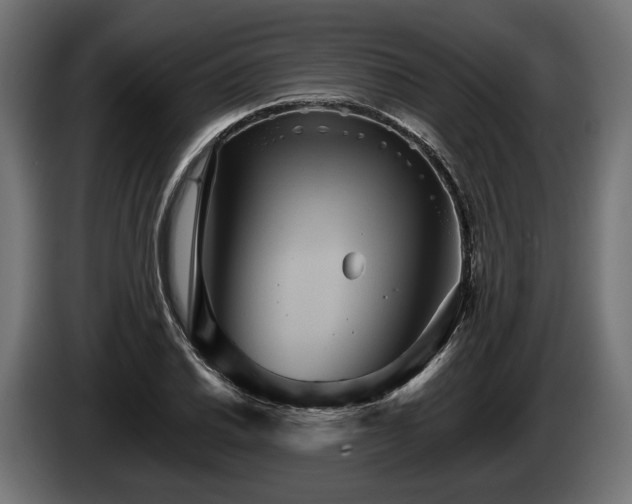 X0000084521030200703021351