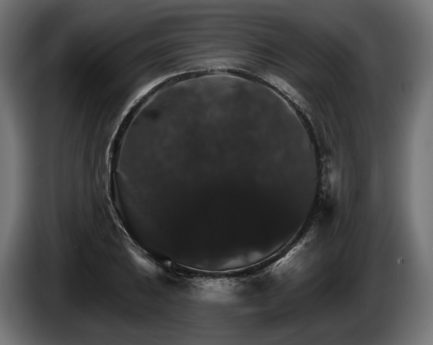 X0000084521031200703021351