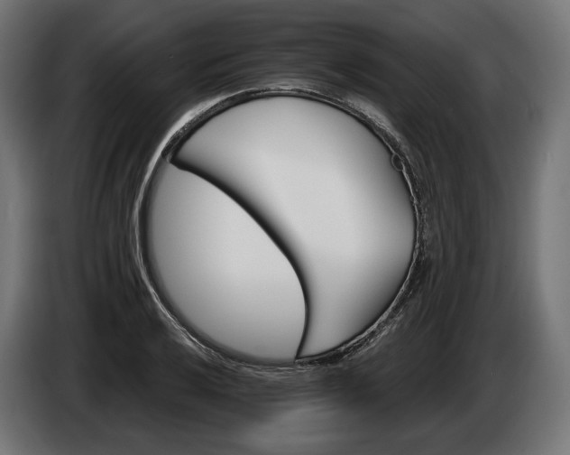 X0000084521032200703021351