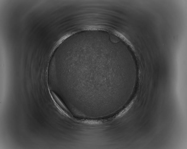 X0000084521033200703021351