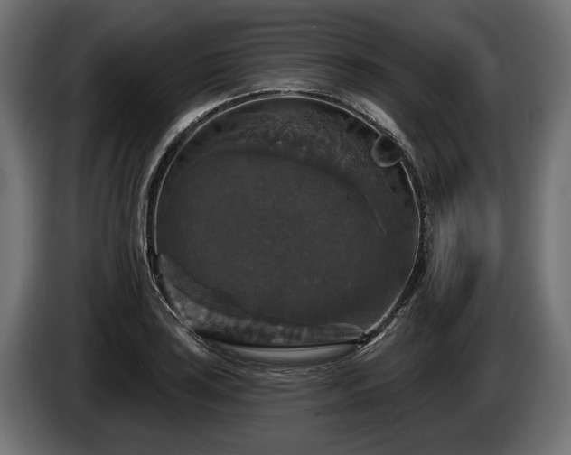 X0000084521035200703021351