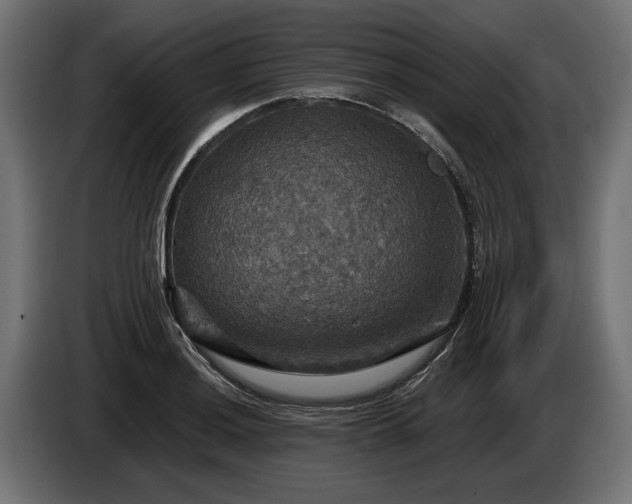 X0000084521036200703021351