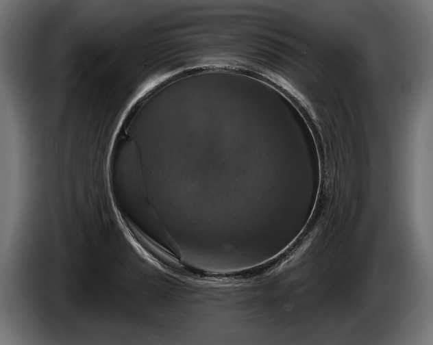 X0000084521037200703021351