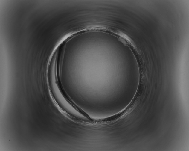 X0000084521038200703021351