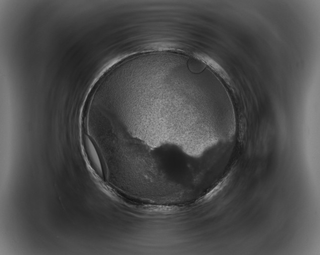 X0000084521039200703021351